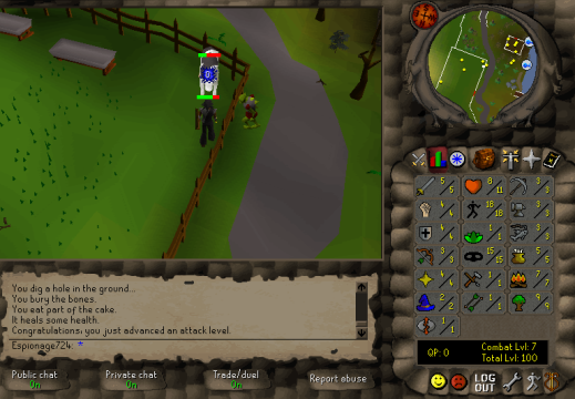 Total level 100