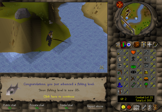 Total level 300