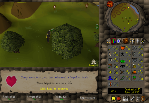 Total level 450