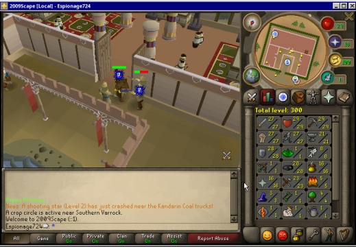 Total level 300