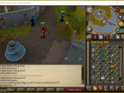 Total level 650