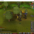 Total level 700