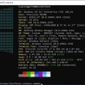20250514-fastfetch-boulderback-win10.PNG