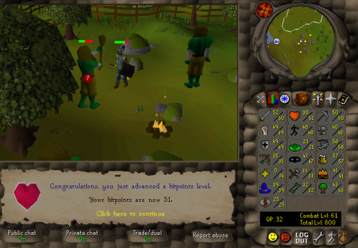 Total level 800