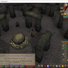 Total level 800