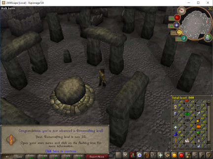 Total level 800