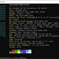 20250621-fastfetch-spinesnap-w10.PNG