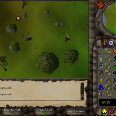 Total level 851