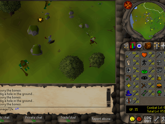 Total level 851