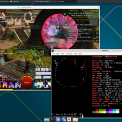 Guild Wars 2 - FreeBSD 14.3