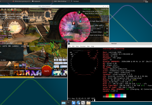 Guild Wars 2 - FreeBSD 14.3