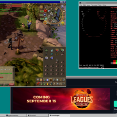 RuneScape on FreeBSD