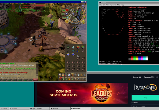 RuneScape on FreeBSD