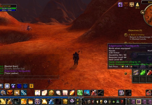 Edgemaster's Handguards