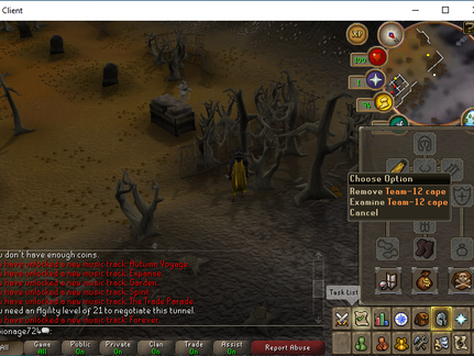 Team-12 cape