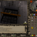 Wilderness Agility Course