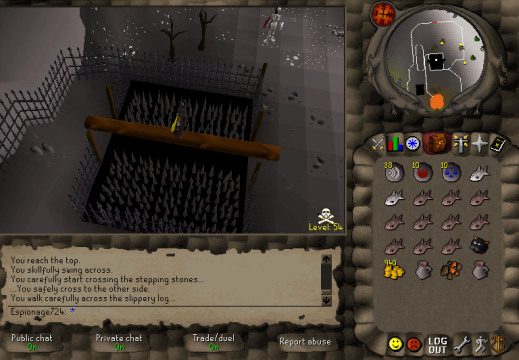 Wilderness Agility Course