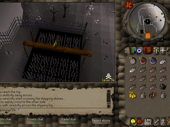 Wilderness Agility Course