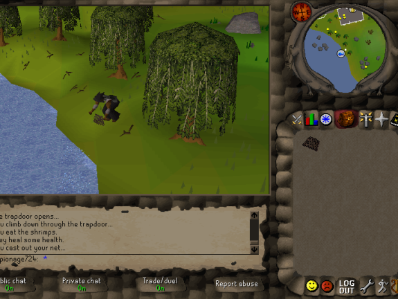 Draynor Village Willow Shore