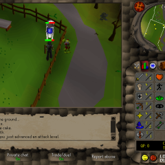 Total level 100