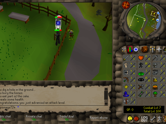 Total level 100