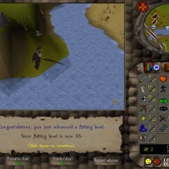 Total level 300