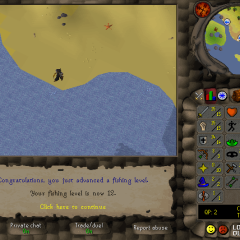 Total level 250