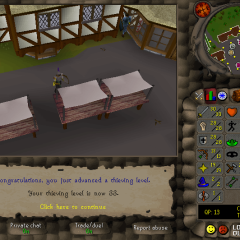 Total level 500