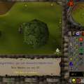 Total level 450