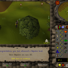 Total level 450