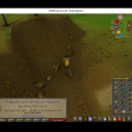Total level 100