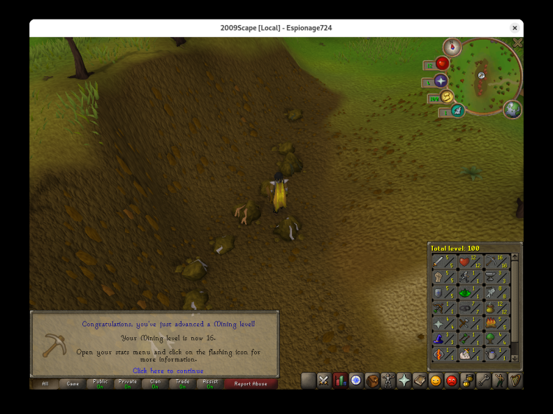 Total level 100