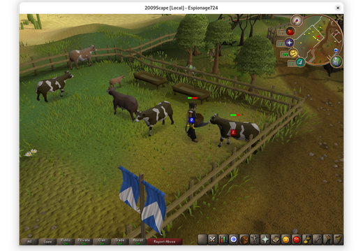 Killing Cows