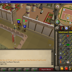 Total level 300