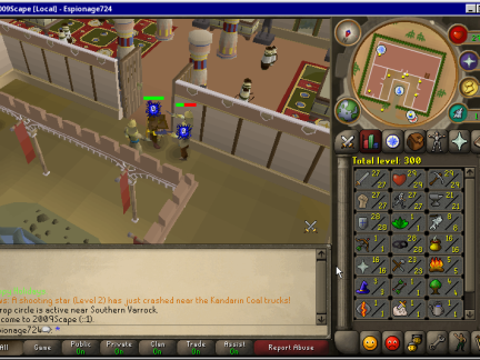 Total level 300