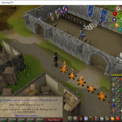 Total level 350