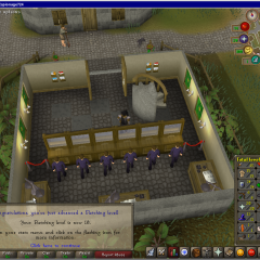 Total level 450