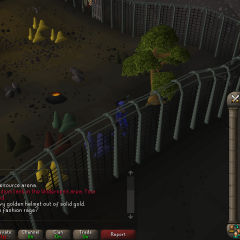 0081-gold-helm-mith-wild