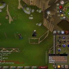 0083-dragon-shield-left