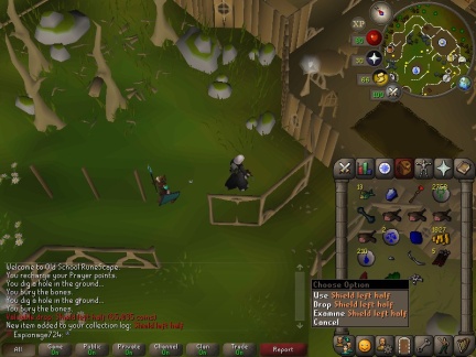 0083-dragon-shield-left