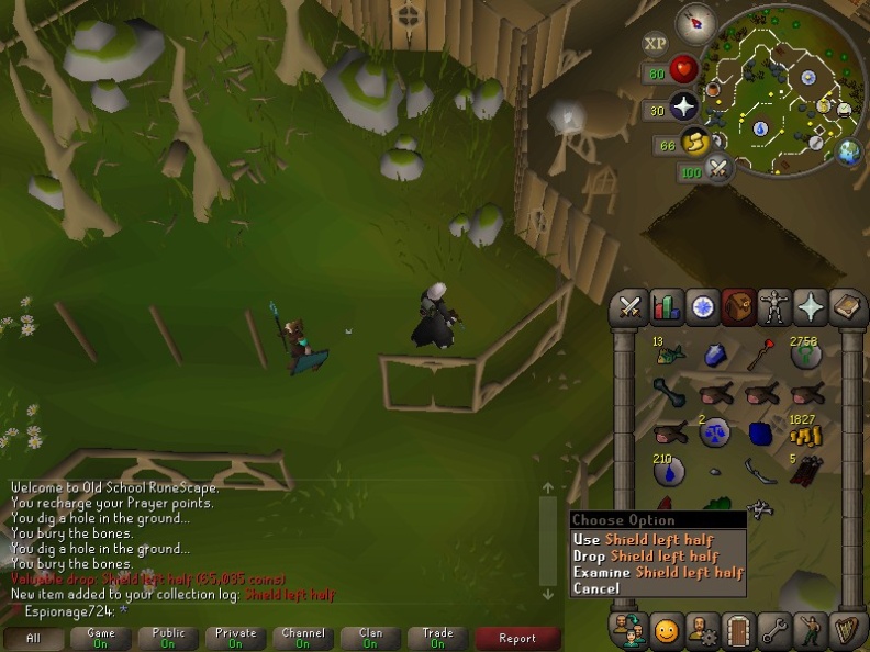 0083-dragon-shield-left