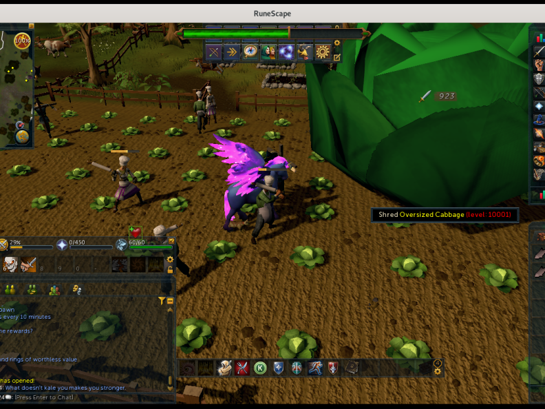 0049-oversized-cabbage