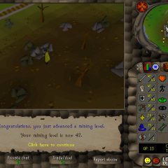 Total level 600