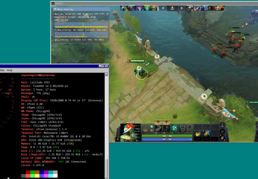 Dota 2 - FreeBSD 14.2