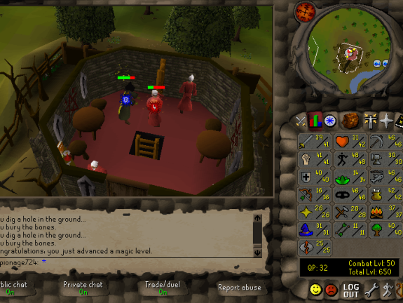 Total level 650