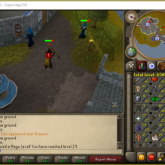 Total level 650