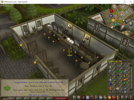 Total level 750