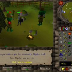 Total level 800