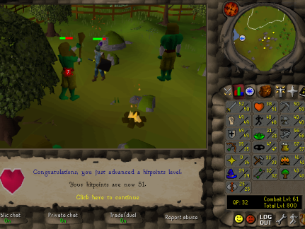 Total level 800
