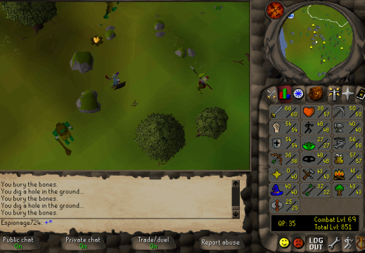 Total level 851